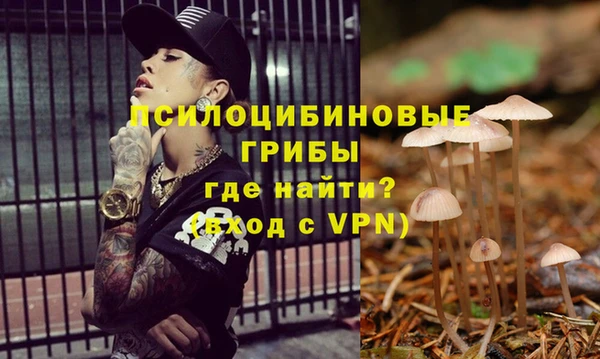 дмт Переславль-Залесский