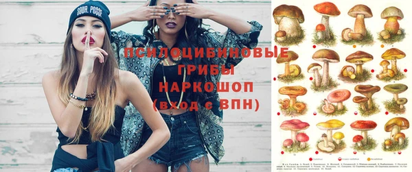 прущая мука Абаза