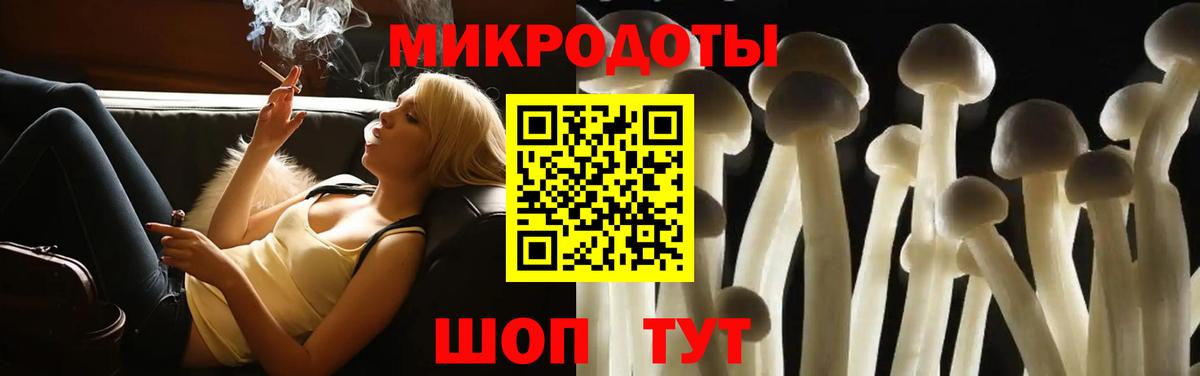 Псилоцибиновые грибы Cubensis  Вход с VPN  Альметьевск 